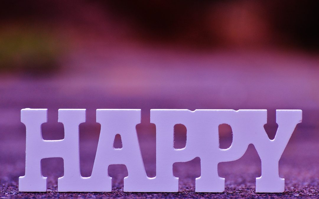 P_A_U_S_E  und der stachelige Kaktus