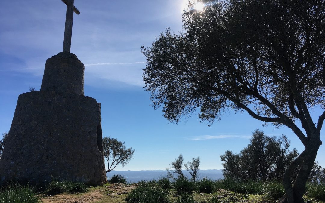 Die Weisheit der Natur – eine Bildergeschichte