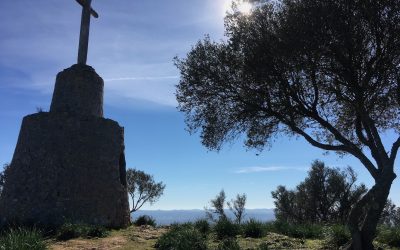 Die Weisheit der Natur – eine Bildergeschichte