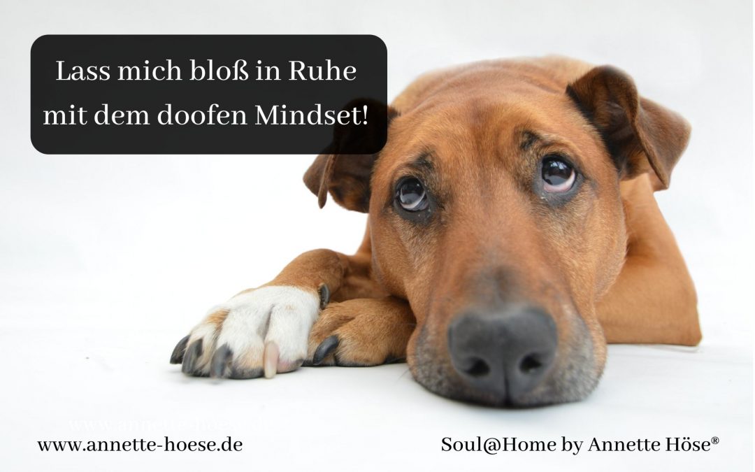 Wenn dich auch der zigste Mindset-Kurs nicht weiterbringt