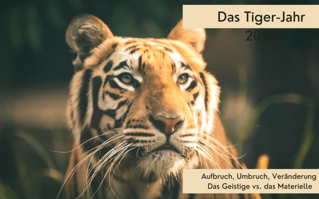 Aufbruch und Umbruch im Jahr des Wasser-Tigers (2022)