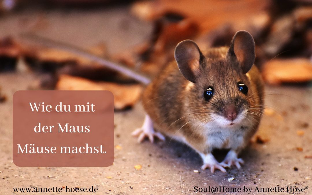 Wie du mit der Maus Mäuse machst –  Dein Zuhause und Geld in 2022